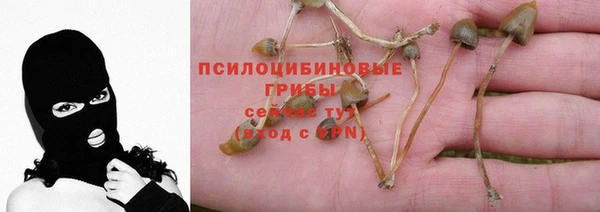 мдма Володарск